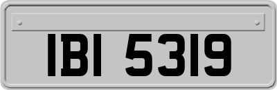 IBI5319