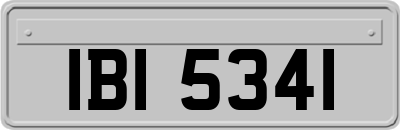 IBI5341