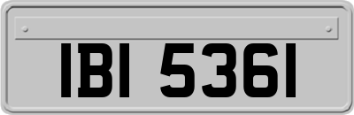 IBI5361