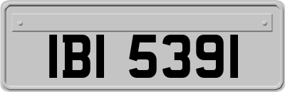 IBI5391