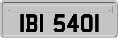 IBI5401