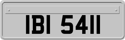 IBI5411