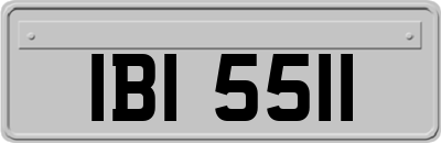 IBI5511