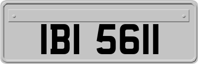 IBI5611