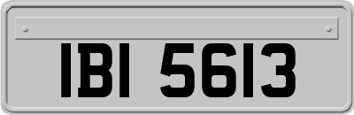 IBI5613