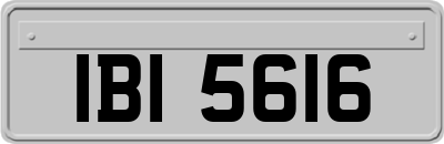 IBI5616