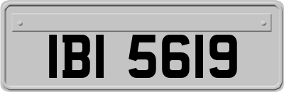 IBI5619