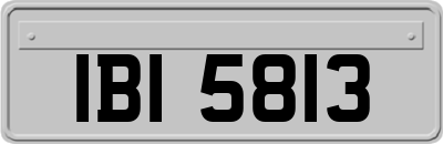 IBI5813