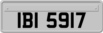 IBI5917