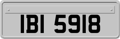 IBI5918