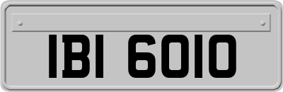 IBI6010