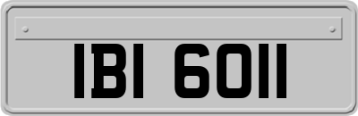 IBI6011