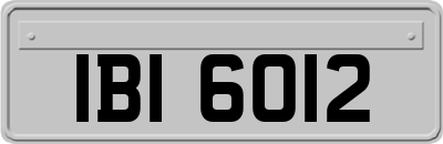 IBI6012