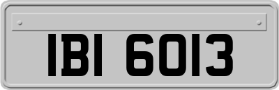 IBI6013