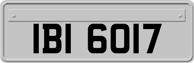 IBI6017