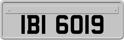 IBI6019