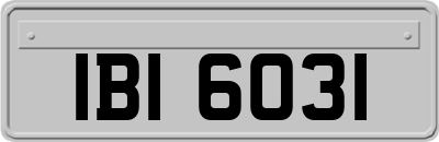 IBI6031