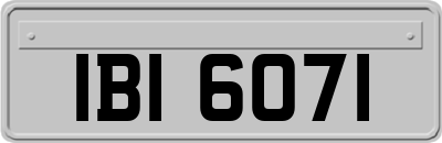 IBI6071