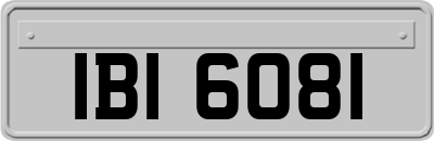 IBI6081