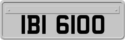 IBI6100