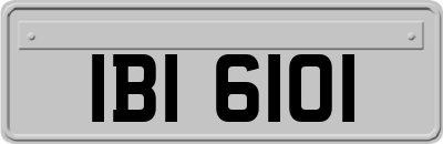 IBI6101