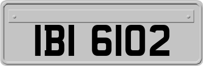 IBI6102