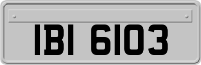 IBI6103