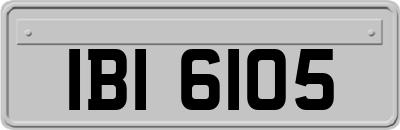 IBI6105