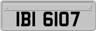 IBI6107