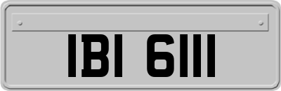 IBI6111