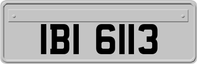 IBI6113