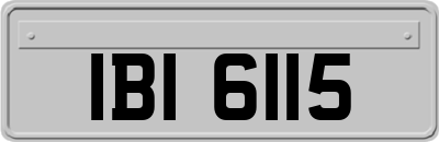 IBI6115