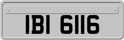 IBI6116