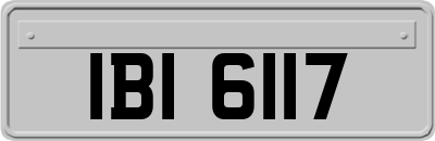 IBI6117