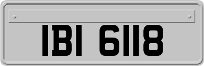 IBI6118