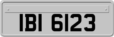 IBI6123