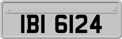 IBI6124