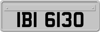 IBI6130