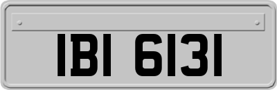 IBI6131