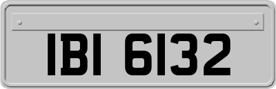 IBI6132