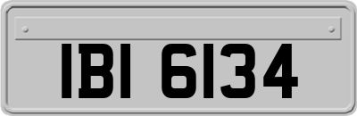 IBI6134