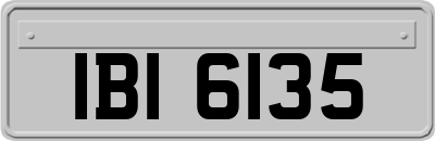 IBI6135