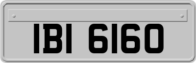 IBI6160