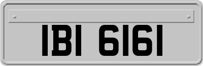 IBI6161