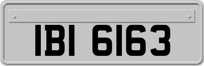 IBI6163