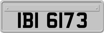 IBI6173