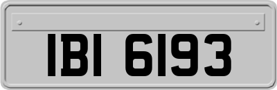 IBI6193