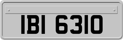 IBI6310