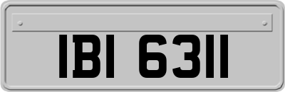 IBI6311