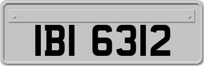 IBI6312